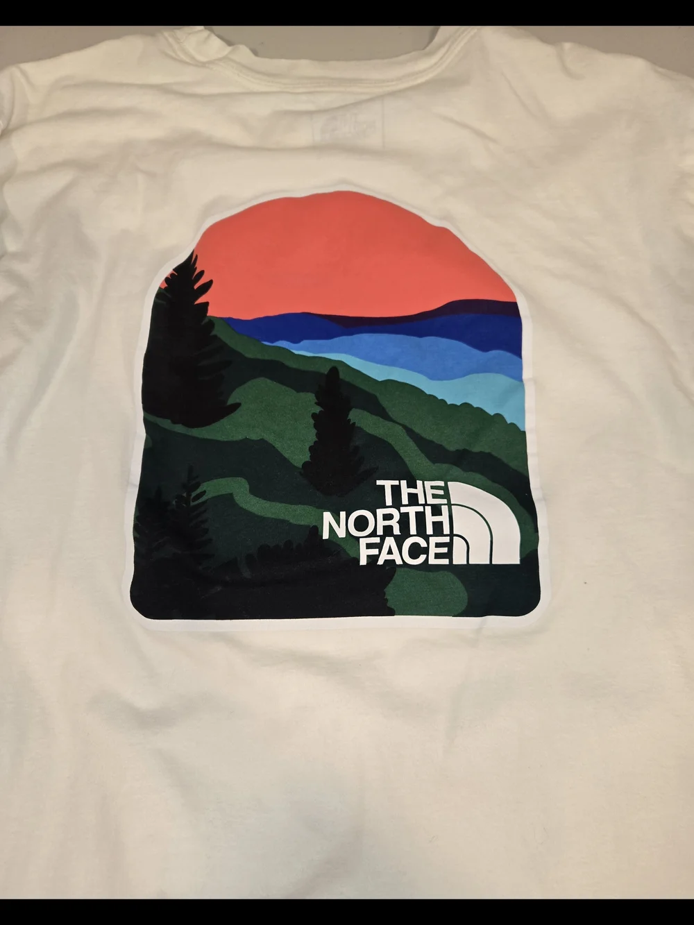 The North Face Men's Cream Long-Sleeve Graphic Sweatshirt